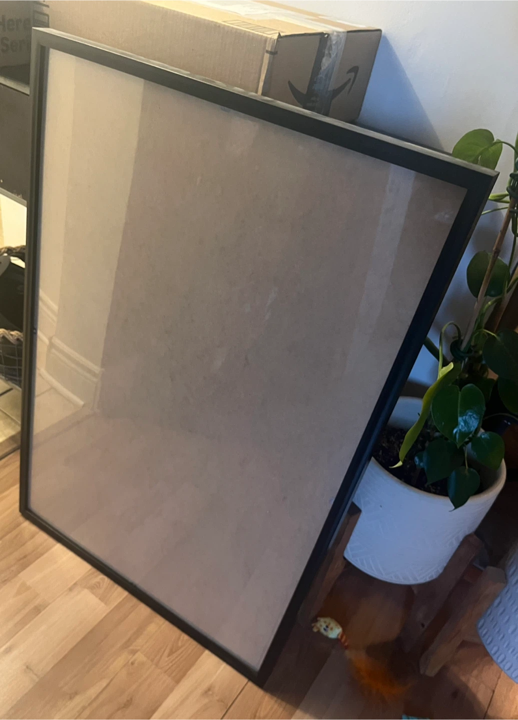 2 Frames (24x36)