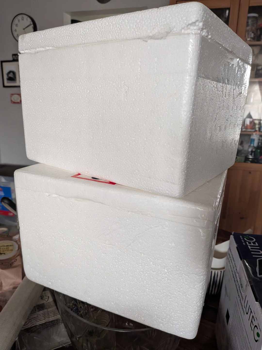 Set of two small white Styrofoam Cooler Boxes