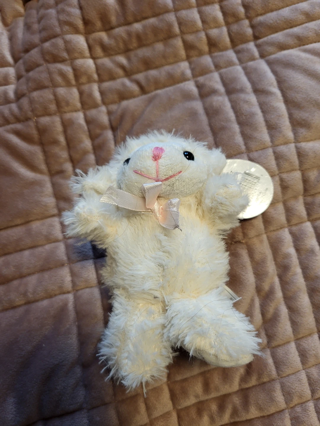 White Plush with Pink Bow