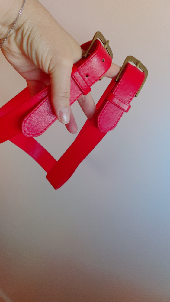 Red leather with Gold Buckle Dog Harness - photo 4
