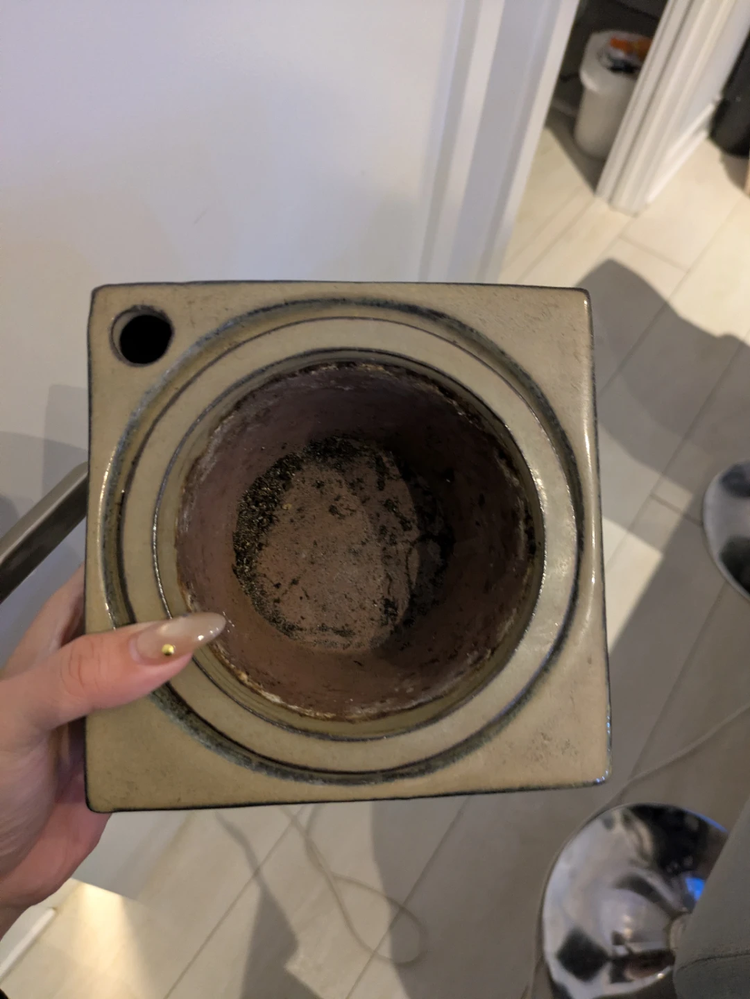 Detachable Planter Pot 🥕 - photo 3