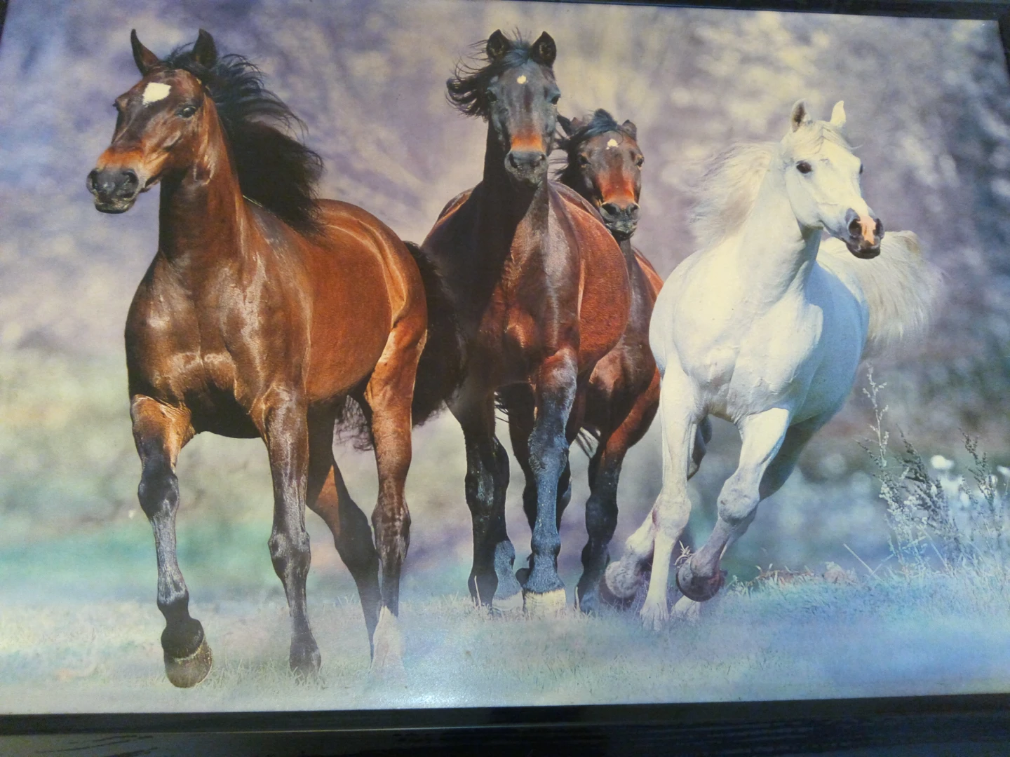 Framed Horse Wall Art - photo 2
