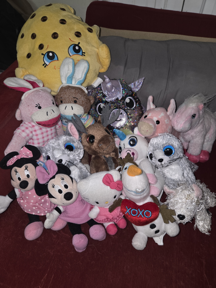 Girls Assorted Plush Toys Collection