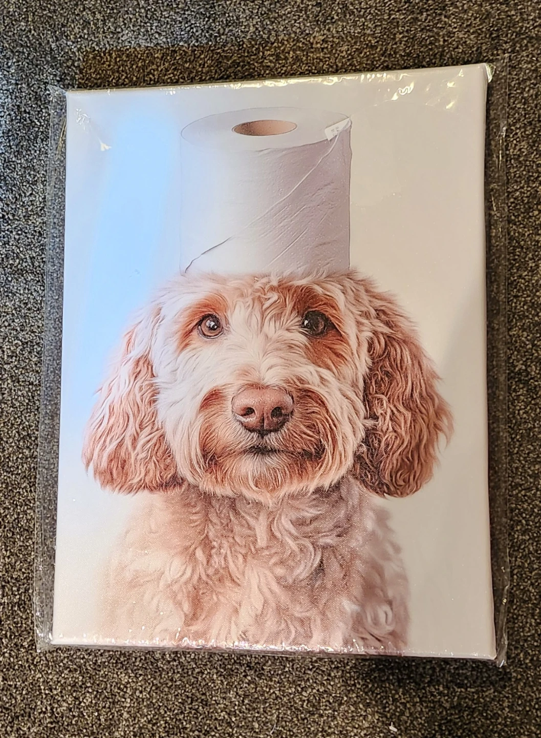 Funny Dog with Toilet Paper Canvas Print