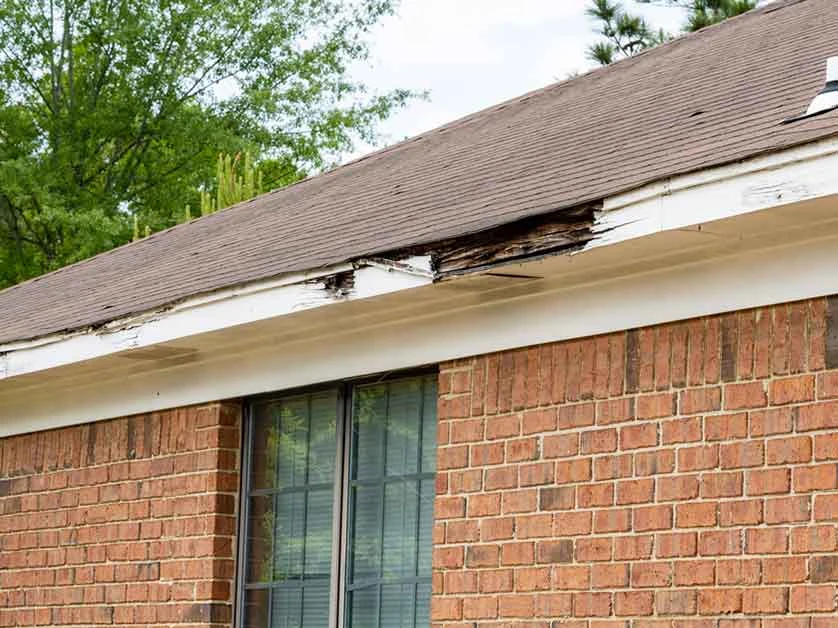 Gutters, Fascia and Soffit Repairs FOR SALE!