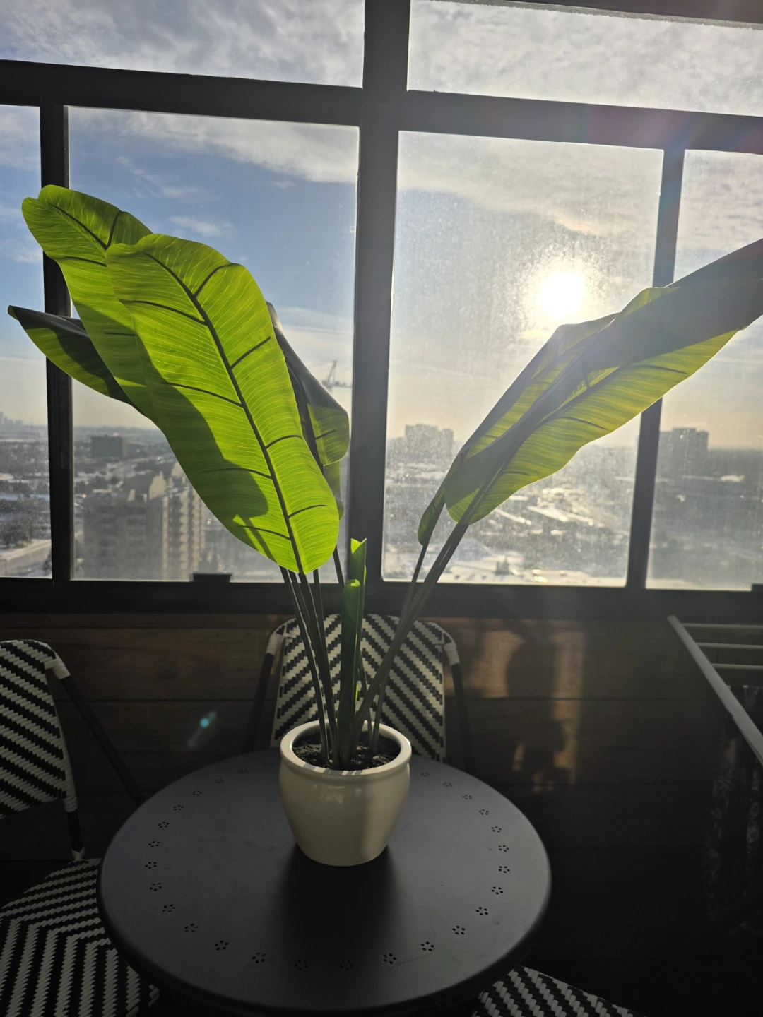 Artificial Bird of Paradise Plant