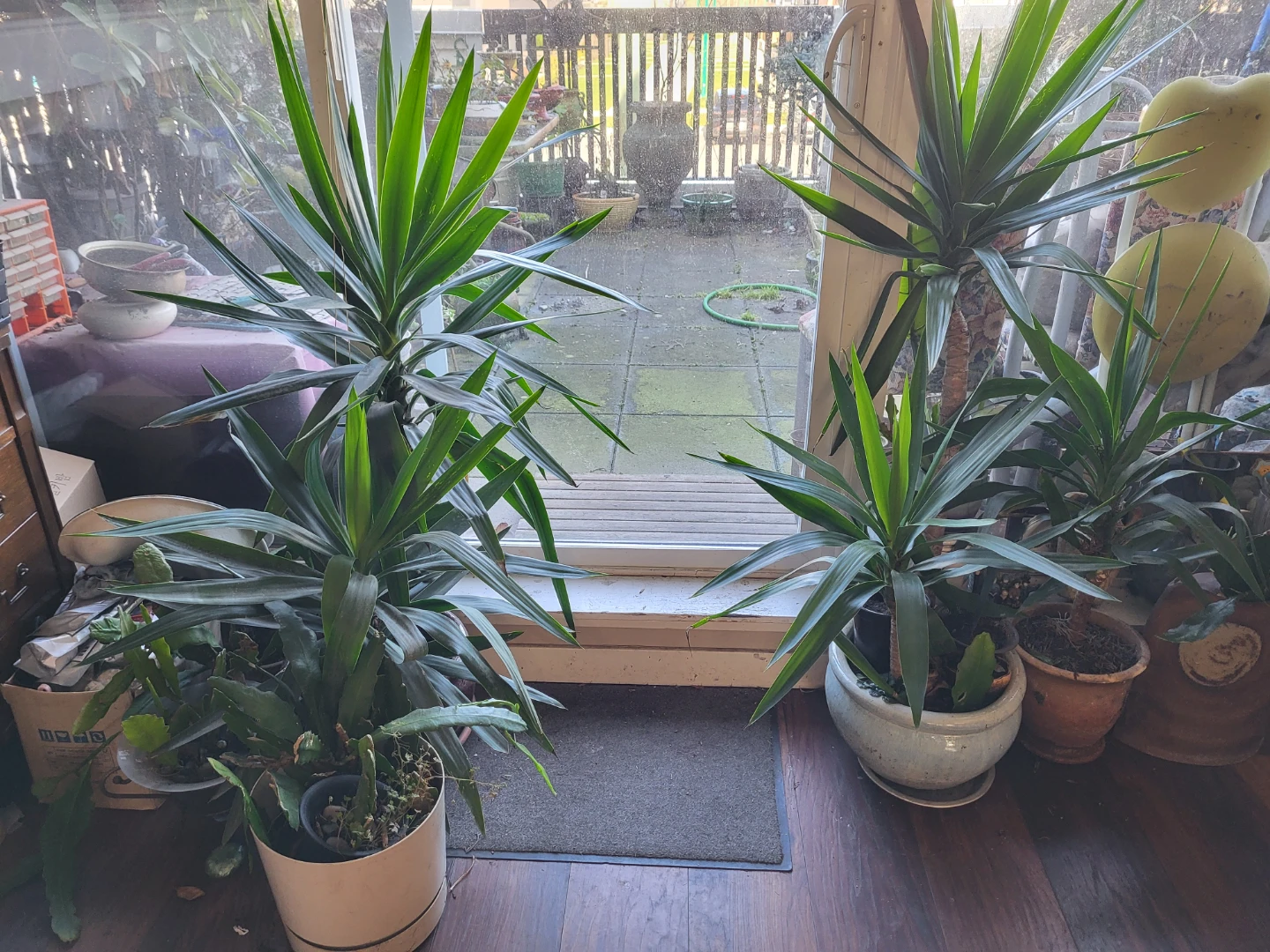 Moving -gradge sale 30-$90