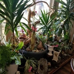 Moving -gradge sale 30-$90 - photo 4