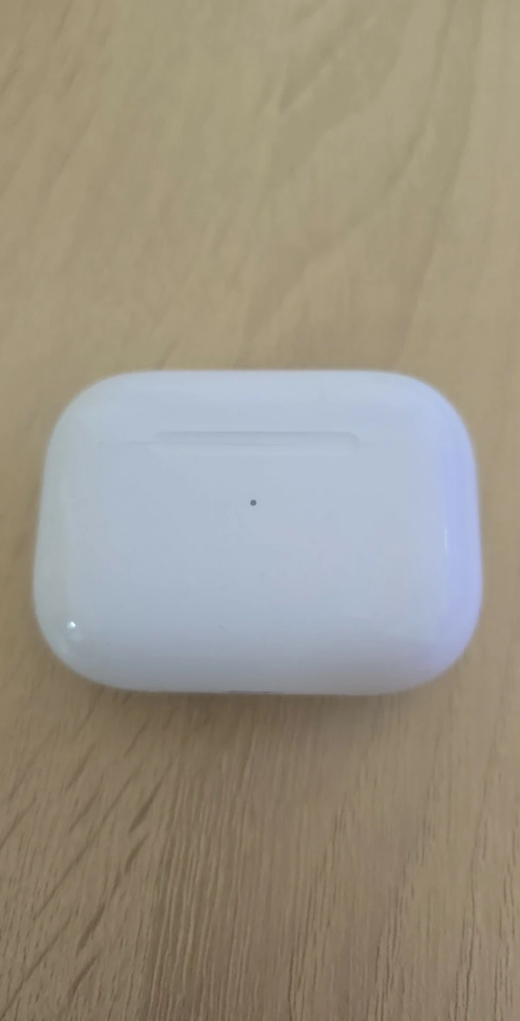 Apple AirPods Pro Charging Case