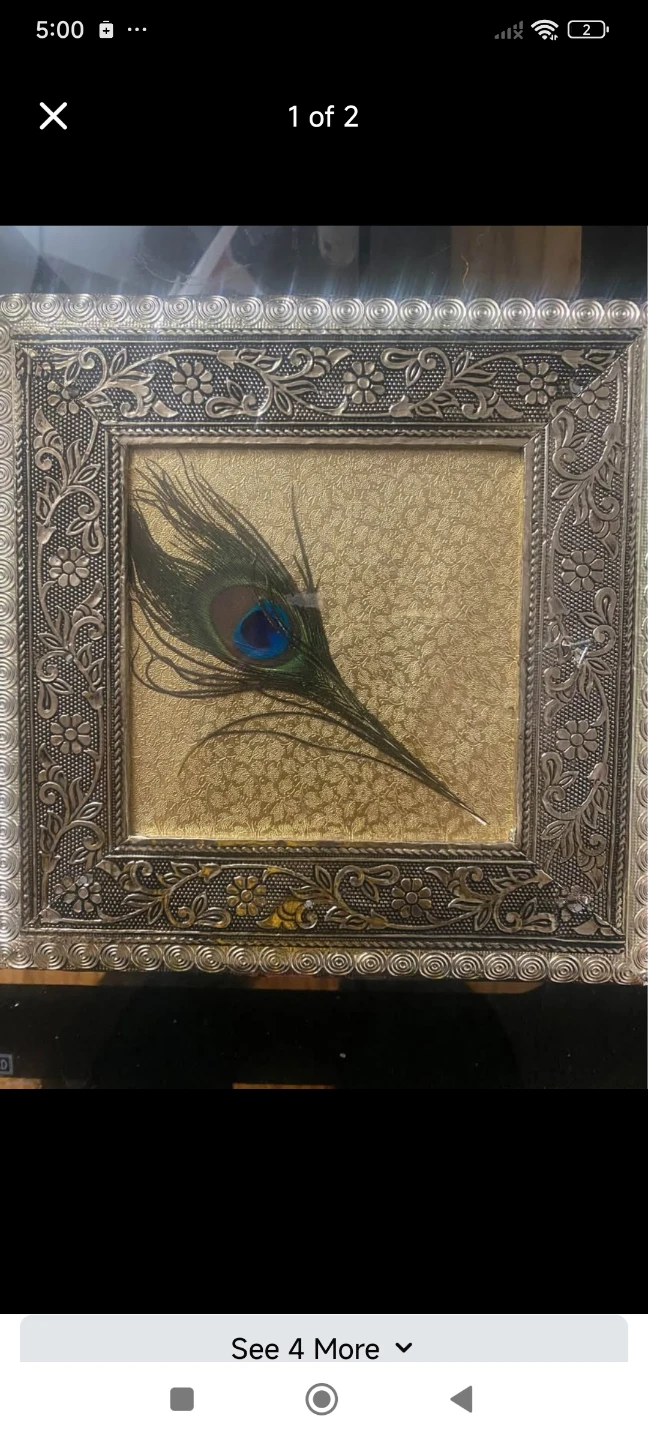 Framed Peacock Feather Art box