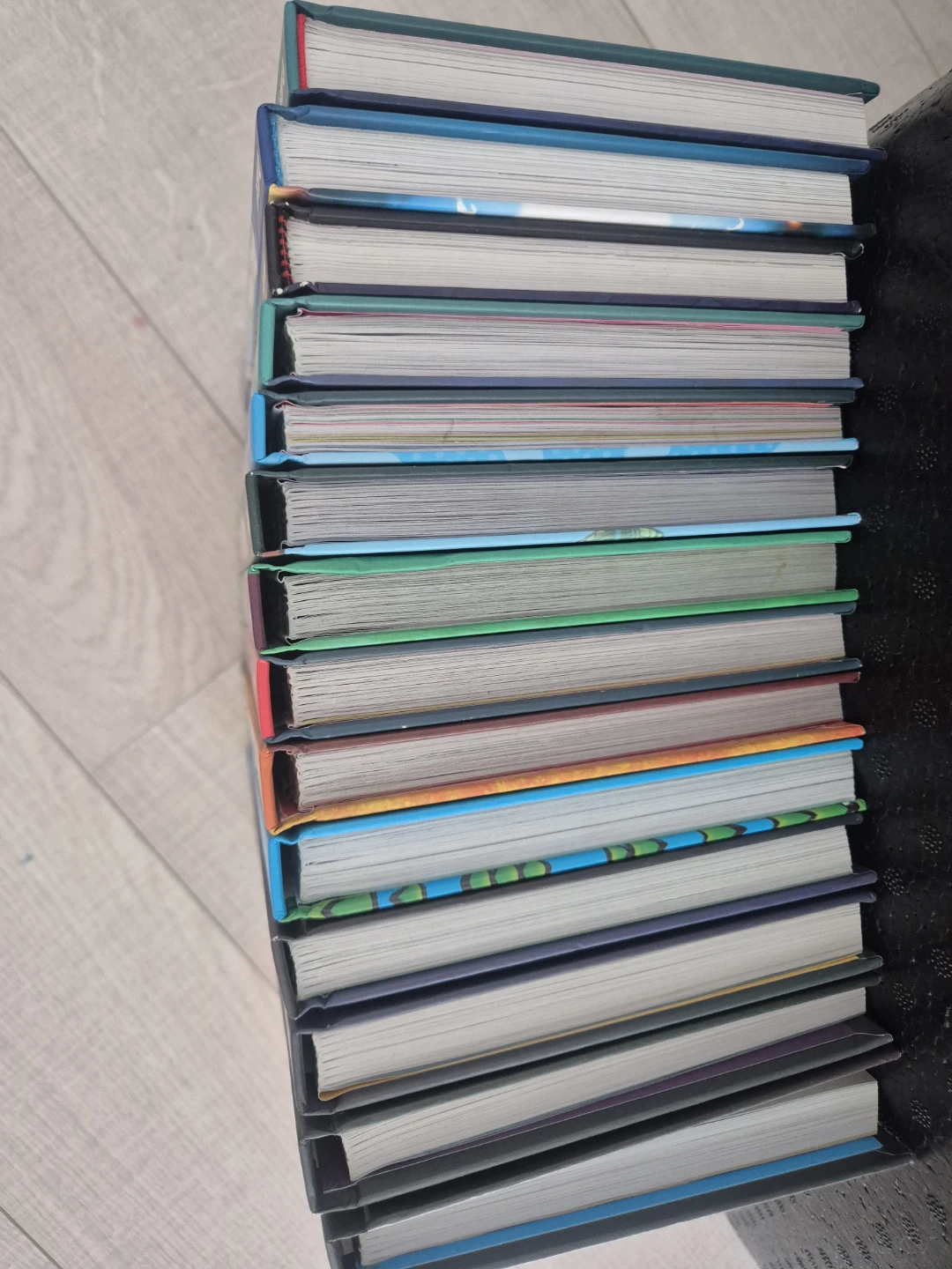 Dog Man Book Collection 12+1 - photo 2