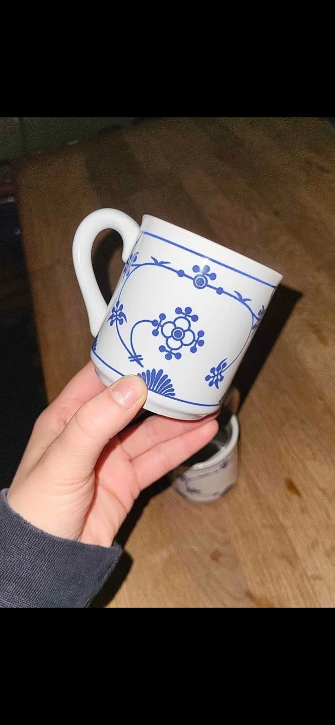 2 Blue Onion Pattern Mug