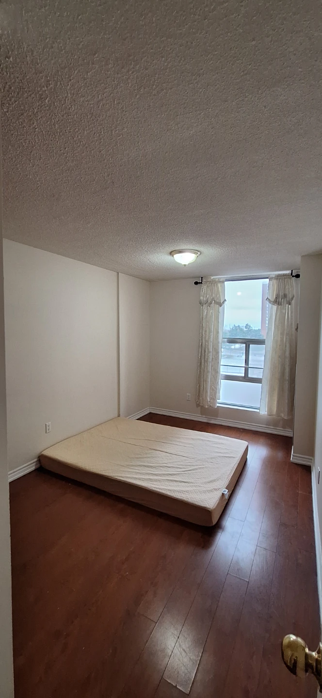 private room in a vegetarian flat (utilities included)