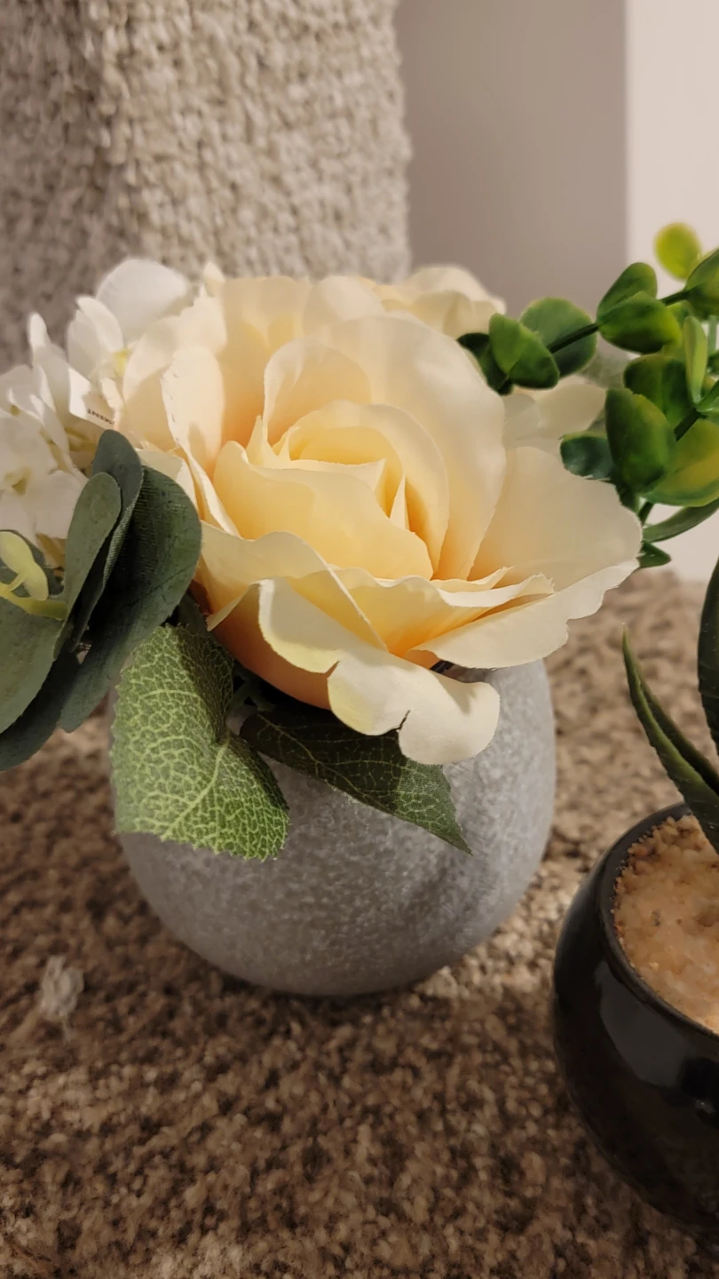 Artificial Rose and Succulent Plant Set - photo 2