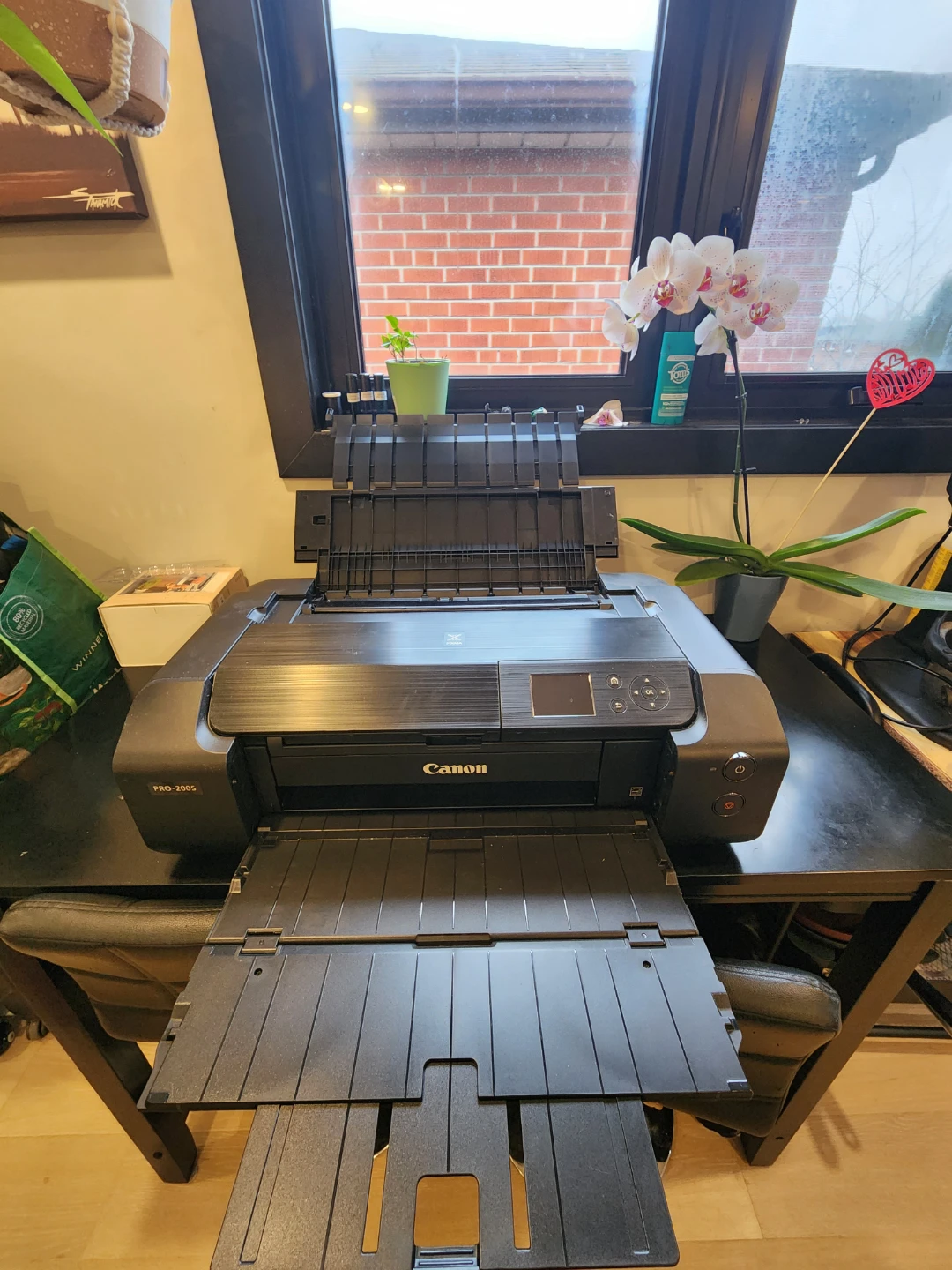 Canon PRO-200S Printer - photo 3