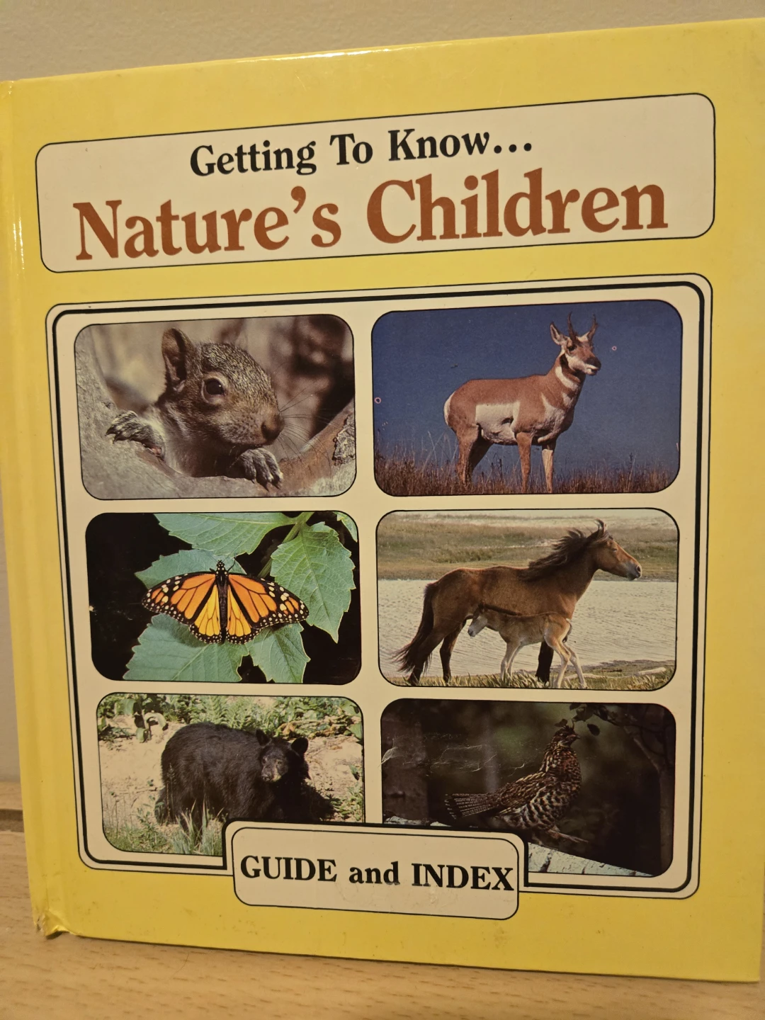 Getting To Know... Nature's Children Book Set
