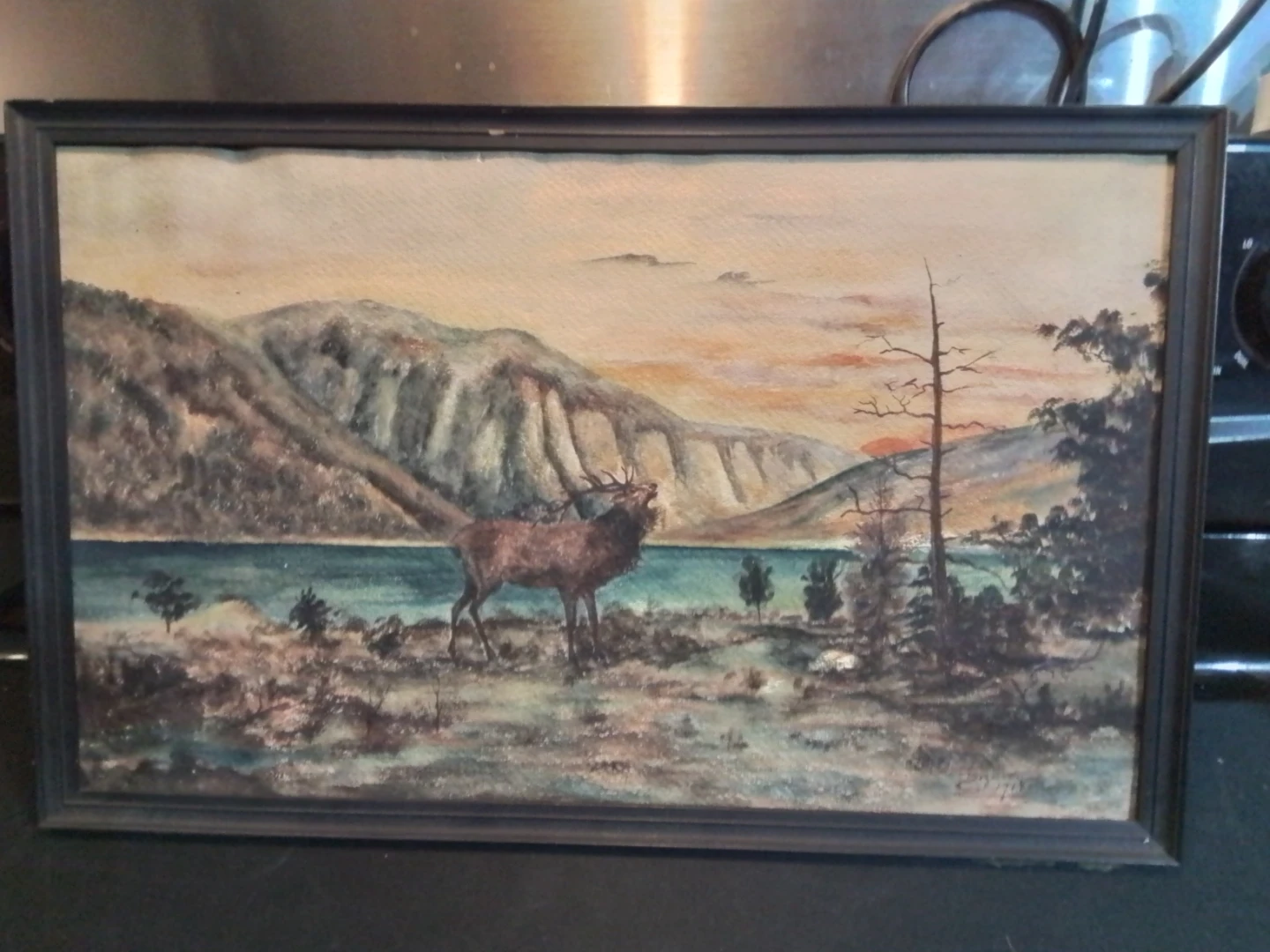 1918 Wildlife Oil Painting Roaring Moose Signed CM Bogarth