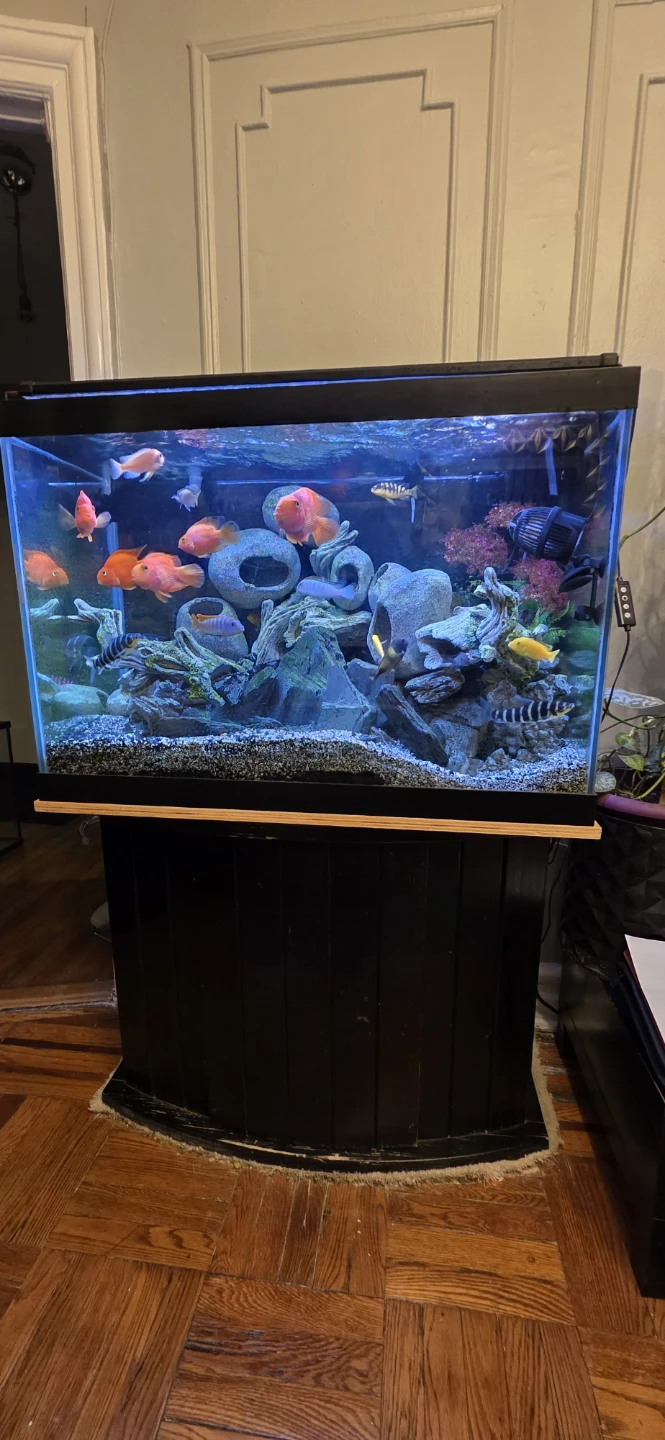 Aquarium Fish Tank with Stand