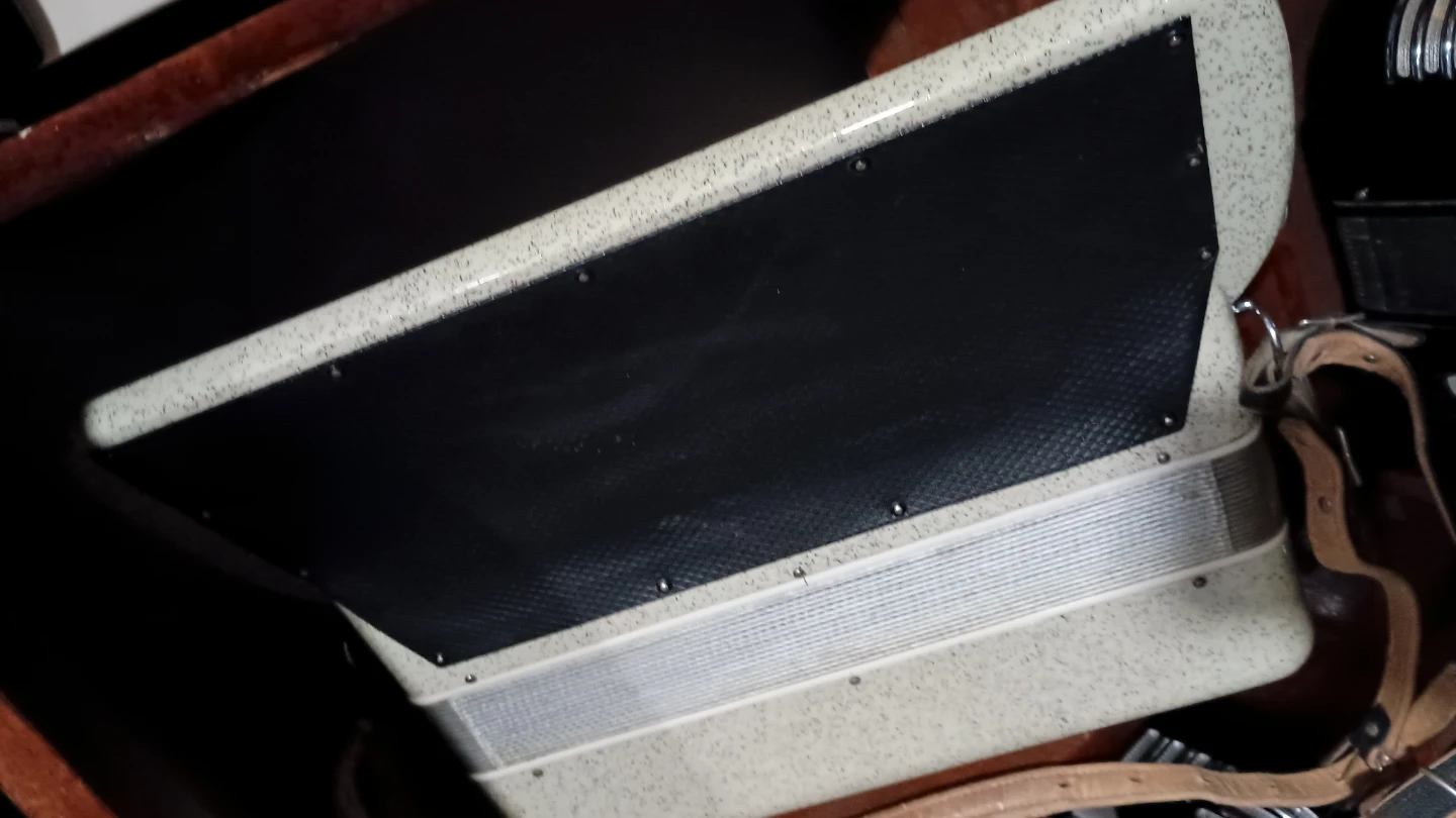 Vintage Accordion - photo 3