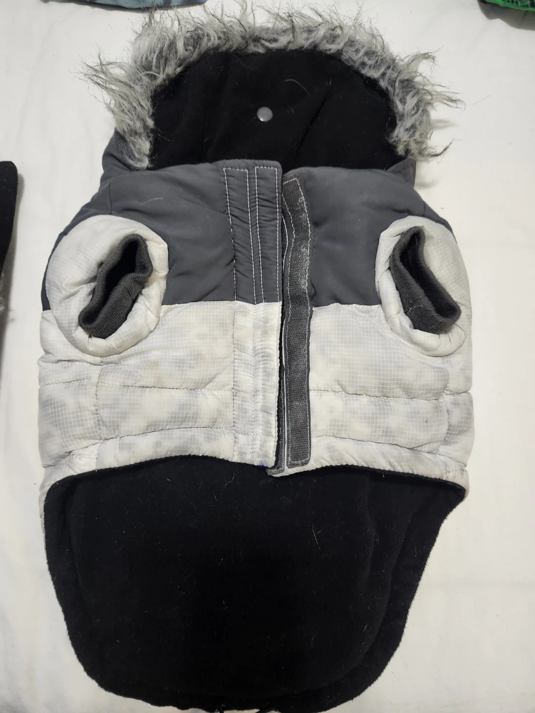 Dog Winter Coat & Raincoat Set - photo 4