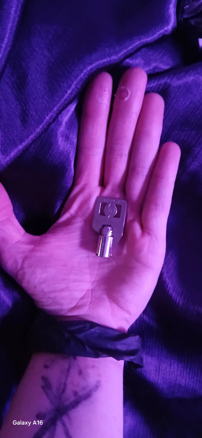 A pair of random HP Keys me
