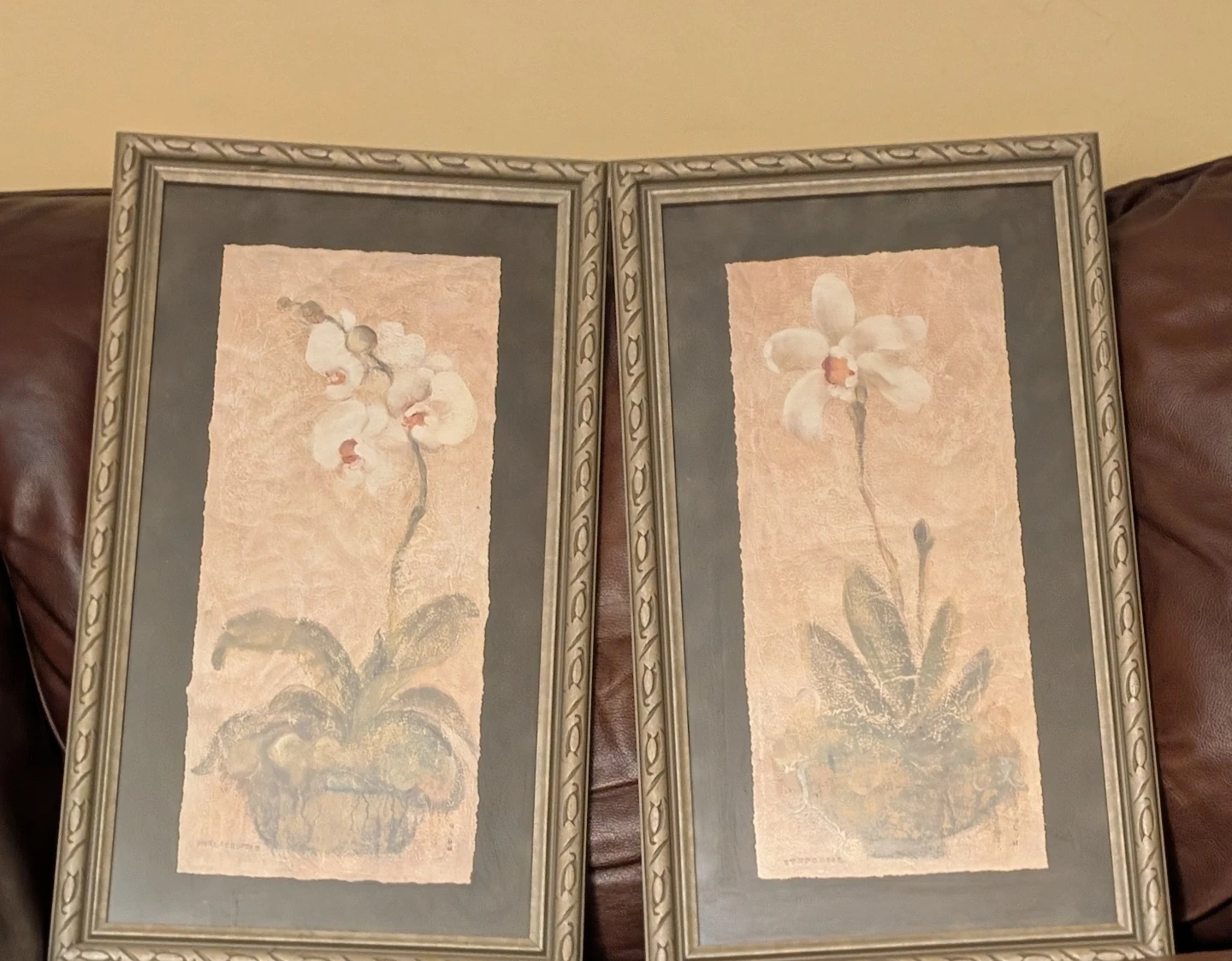 Set of 2 Framed Orchid Botanical Prints
