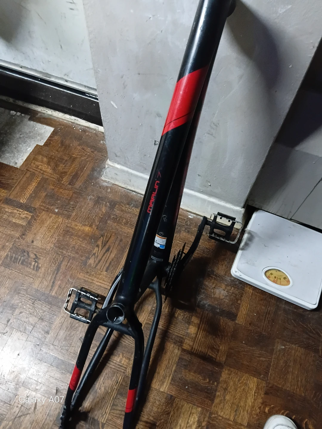 Marlin 7
