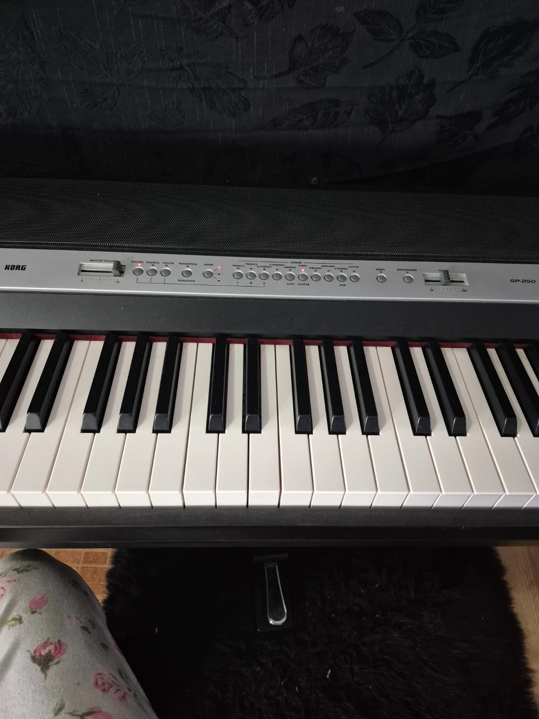 Korg SP-250 Digital Piano - photo 2