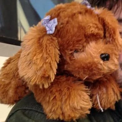Brown plush dog with bows