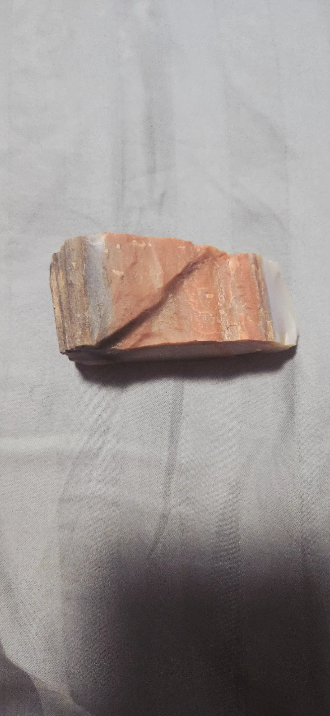 Petrified Wood crystalized Specimen