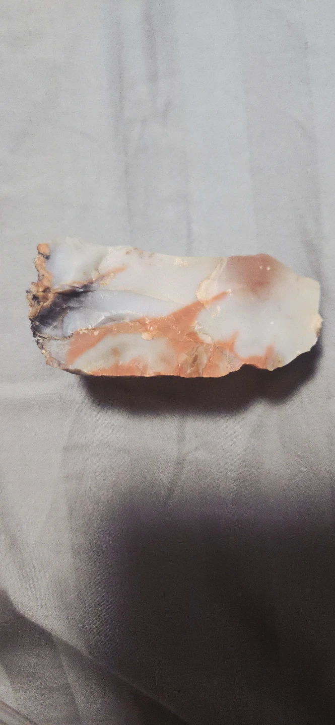 Petrified Wood crystalized Specimen - photo 2