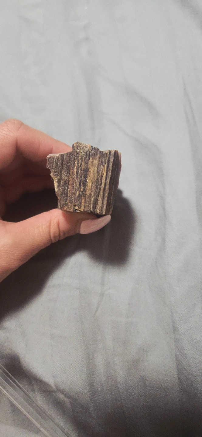 Petrified Wood crystalized Specimen - photo 3