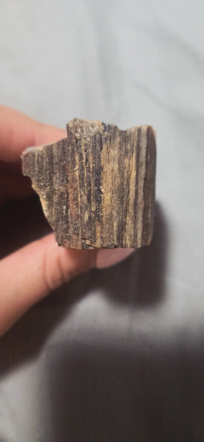 Petrified Wood crystalized Specimen - photo 4
