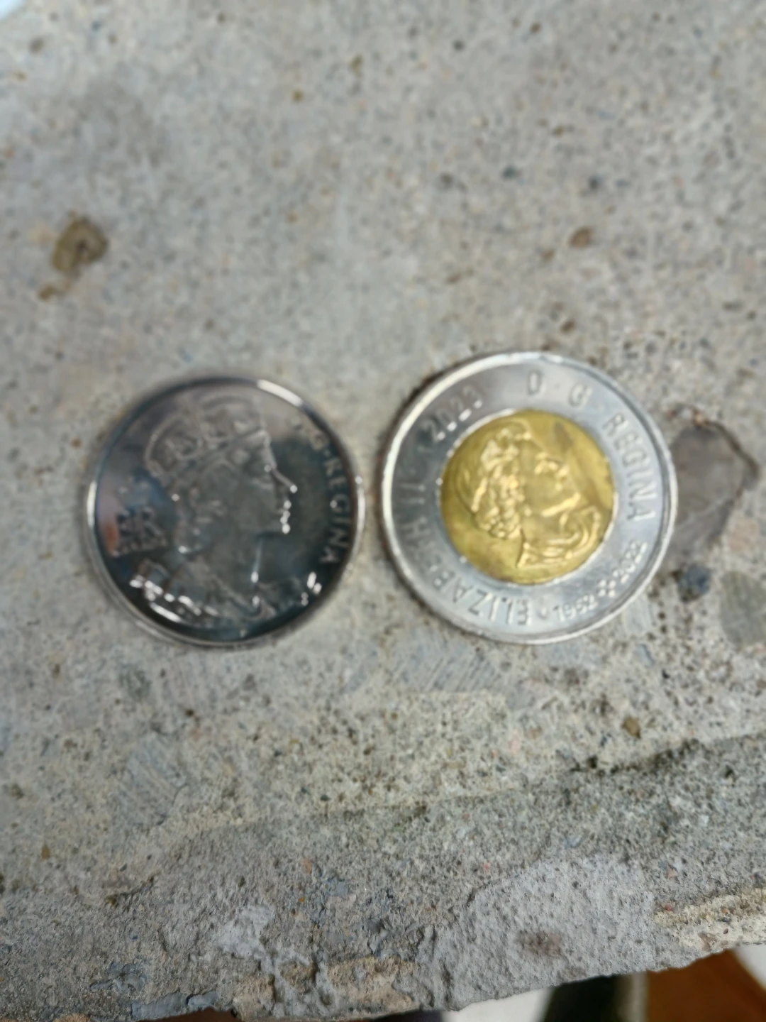 2023 Canadian Loonie and Toonie