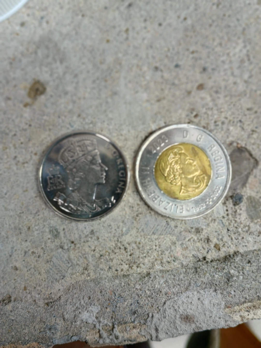 2023 Canadian Loonie and Toonie - photo 2