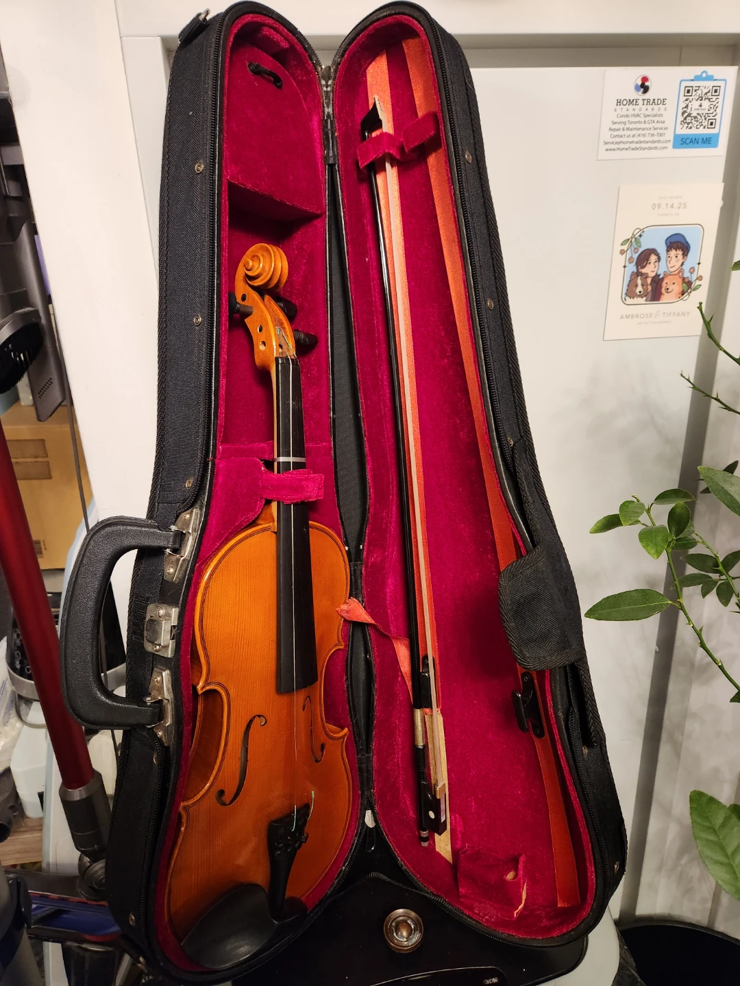 Violin with Case and Bow