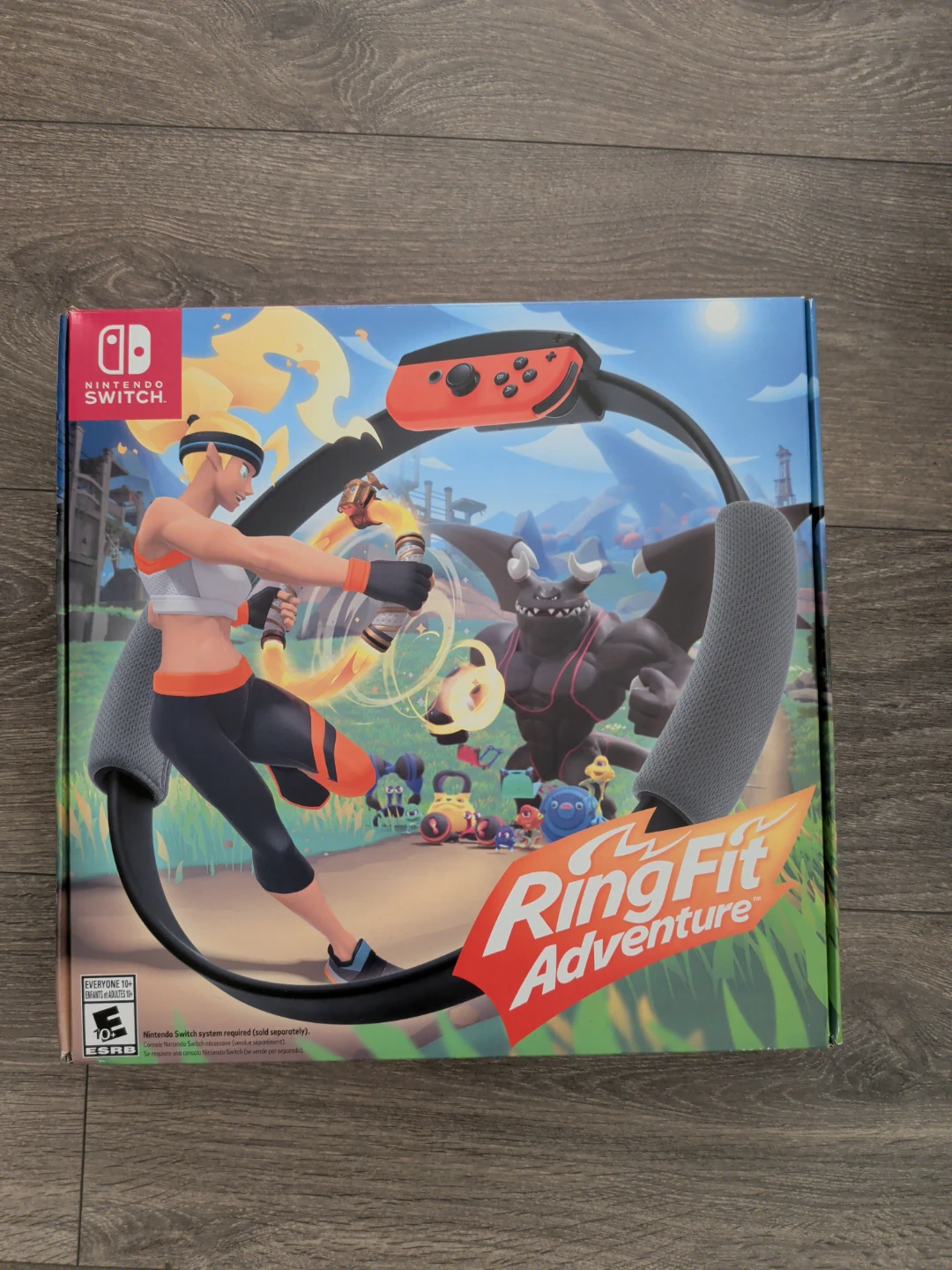 Nintendo Switch Ring Fit Adventure Game and Ring-Con