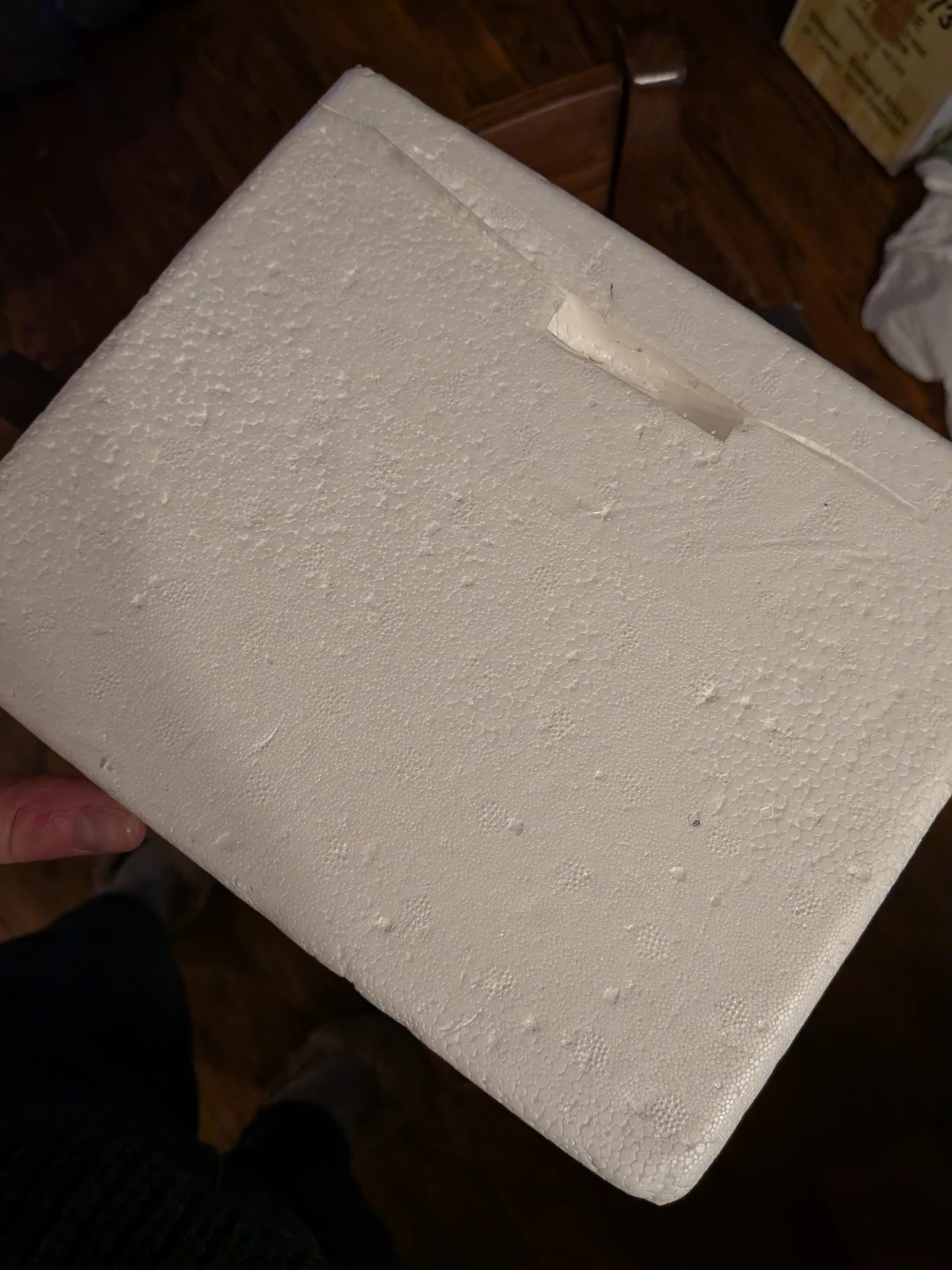 Set of two small white Styrofoam Cooler Boxes - photo 3