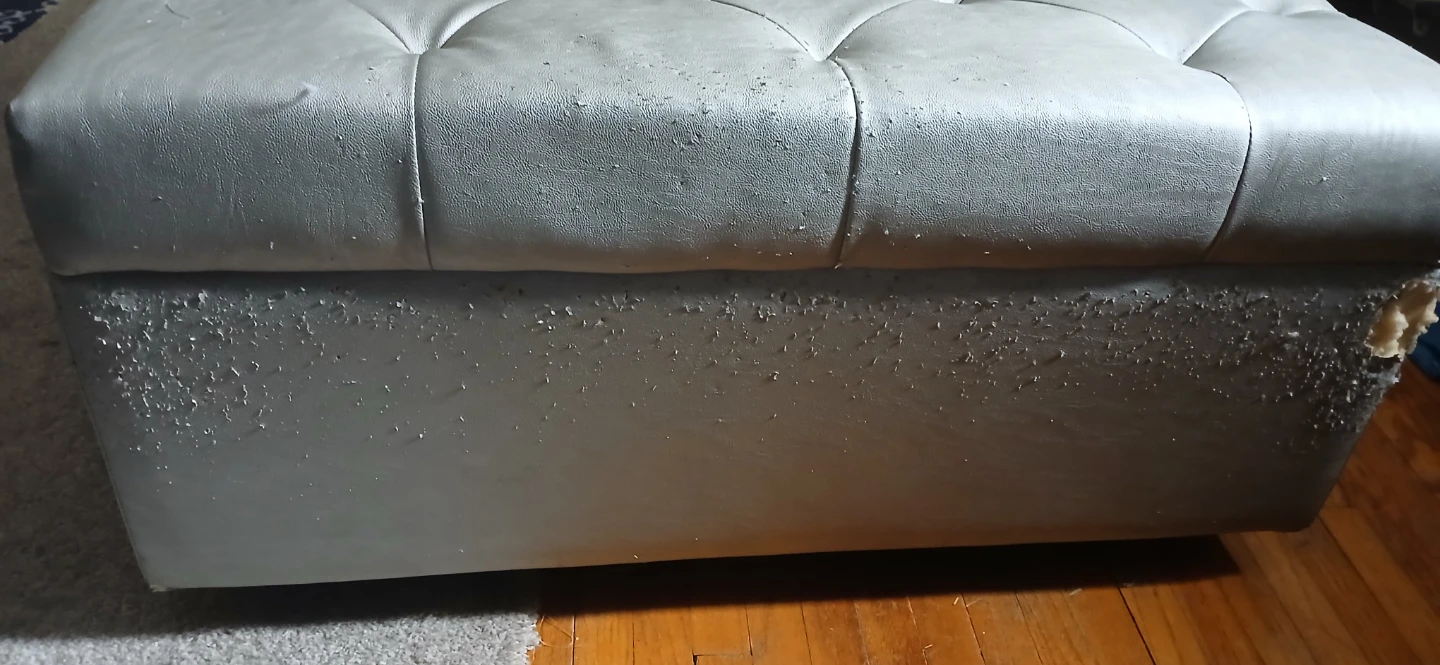 5 foot Ottoman