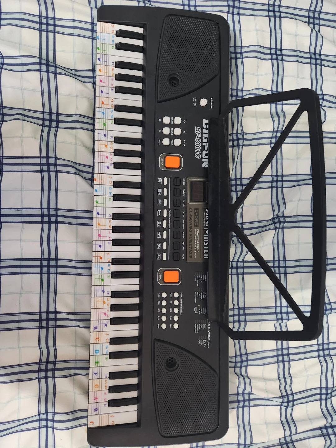 BIGFUN 61 Keys Rechargeable Electronic Keyboard BF-600C - photo 3