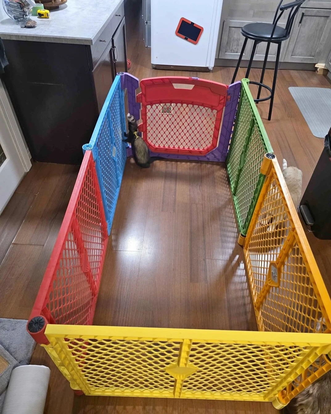 North States Playard Pet Fence with Gate - photo 2