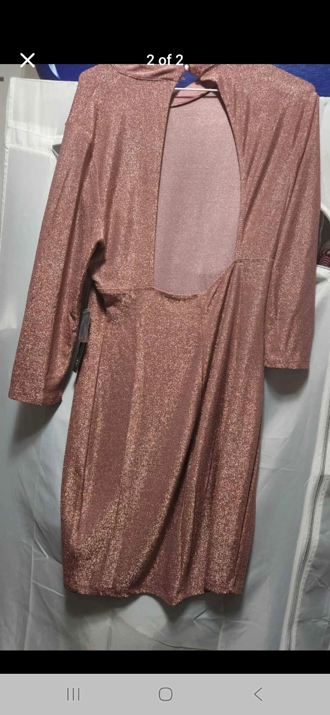 Sparkly Rose Gold Long Sleeve Dress