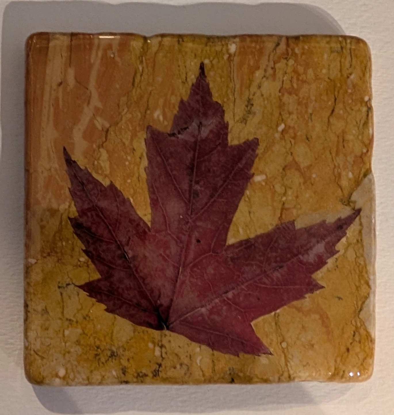 Slate Coaster with Real Maple Leaf