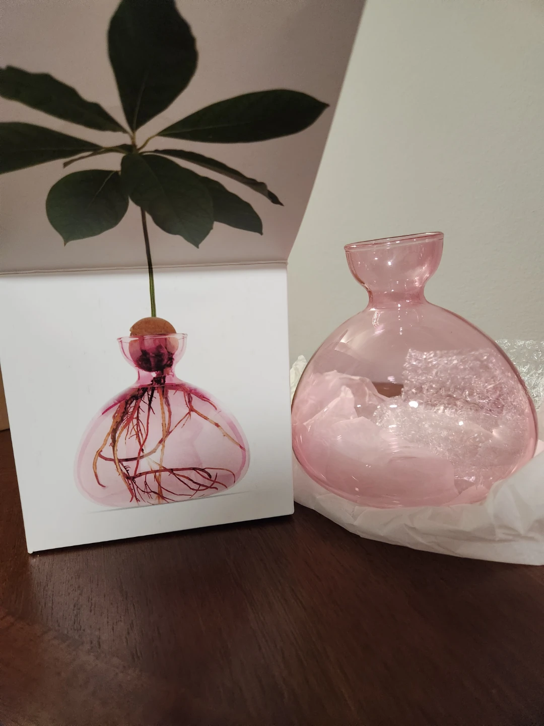 Pink Glass Avocado Vase - photo 3