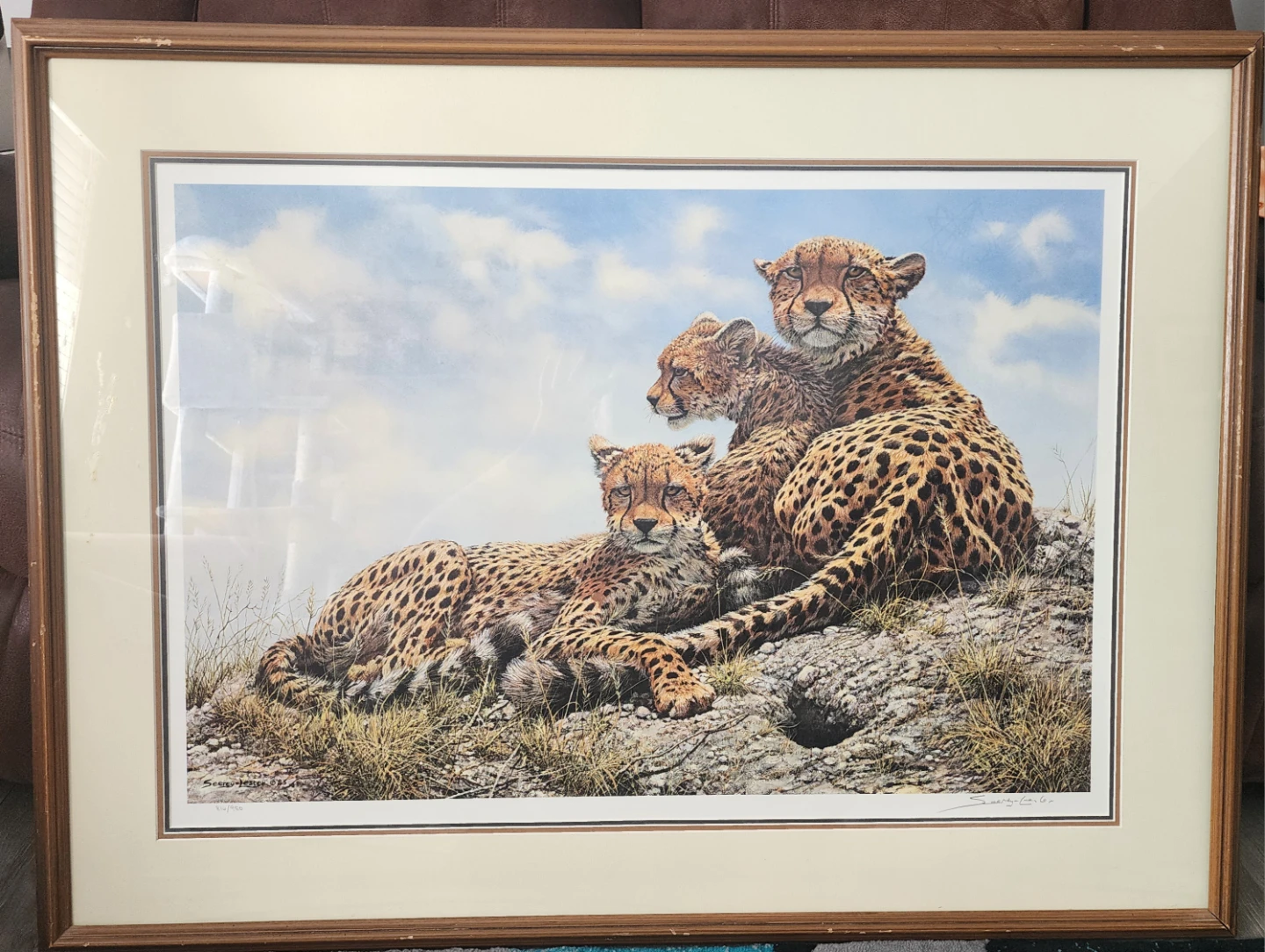 Kenyan Family Cheetahs Print by John Seerey-Lester, 816/950