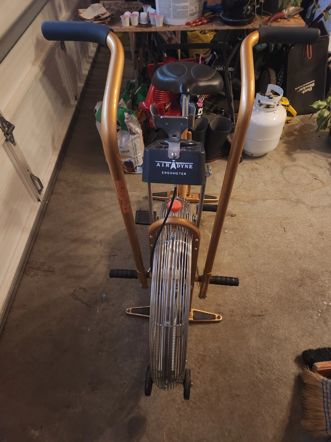 Schwinn Air-Dyne Ergometer Stationary Bike - photo 2