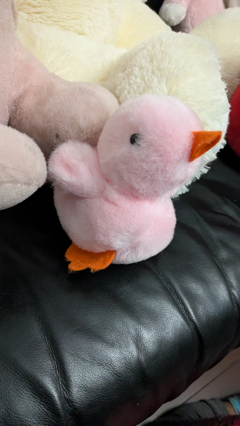 Pink plush duck toy