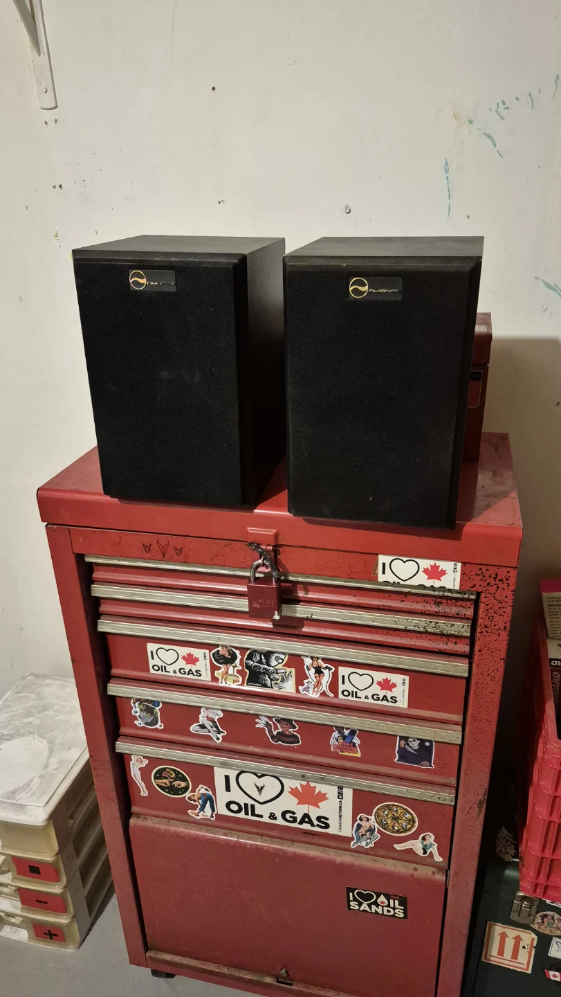 Nuance bookshelf speakers