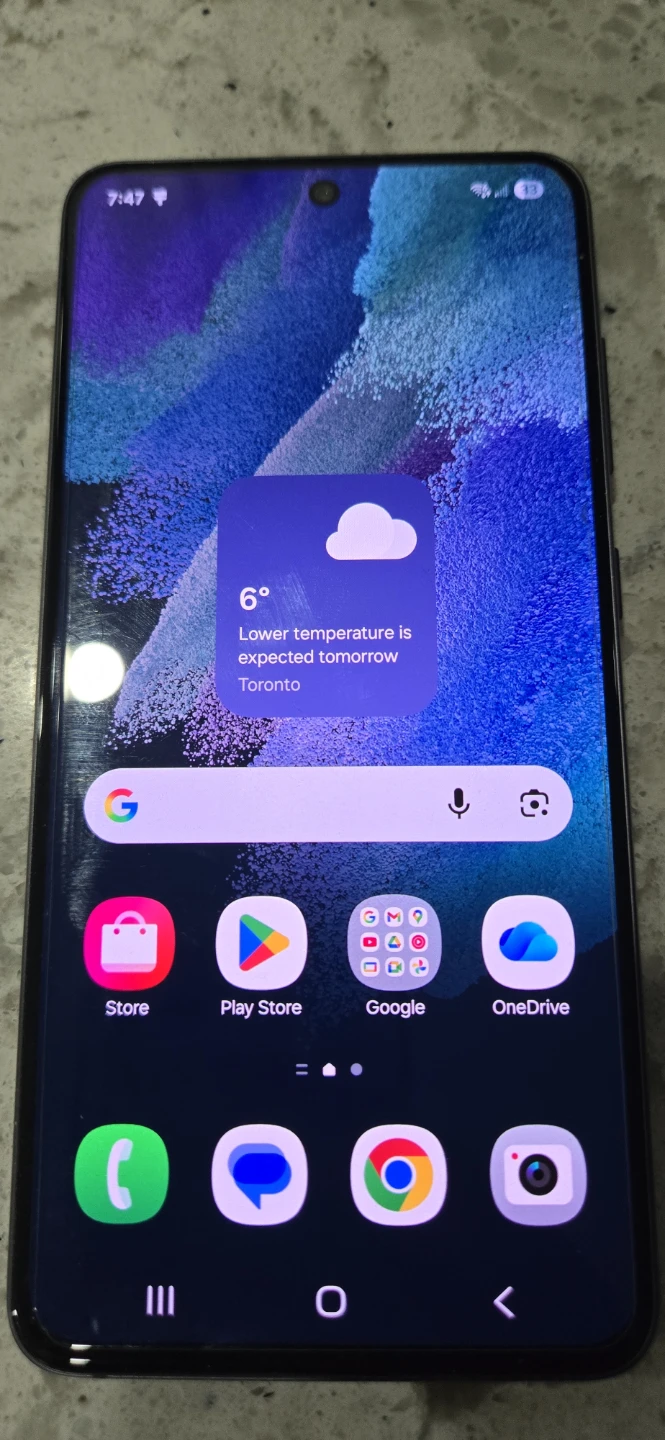 Samsung Galaxy S21 FE 5G SM-G990W - photo 4