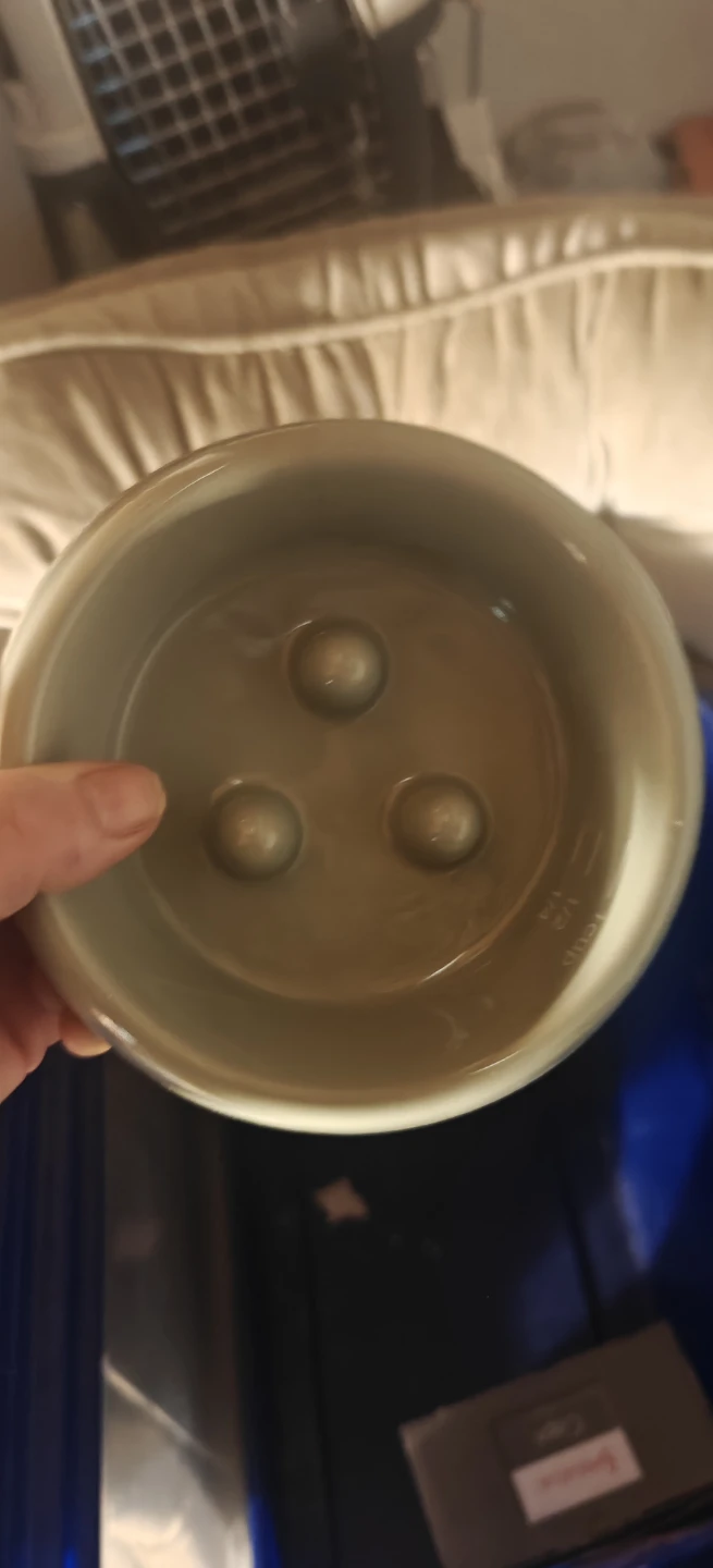 Slow Feeder Pet Bowl - photo 3
